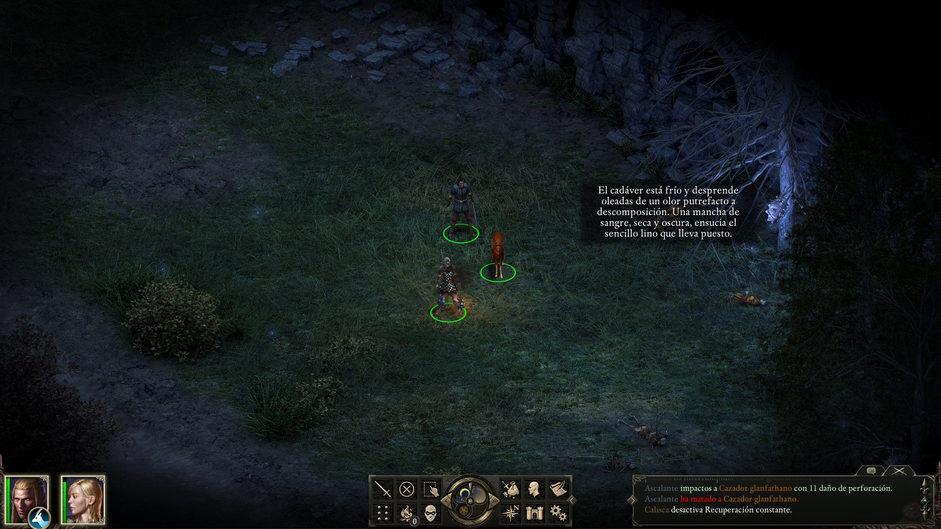 Pillars of Eternity: Complete Edition - Imagen 39